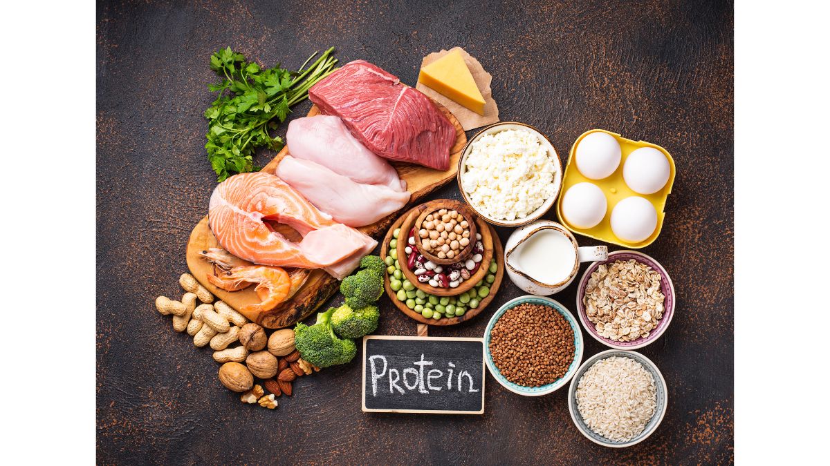 6 Reasons Why You Should Add Protein To Your Daily Meals